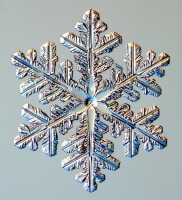 Snowflake